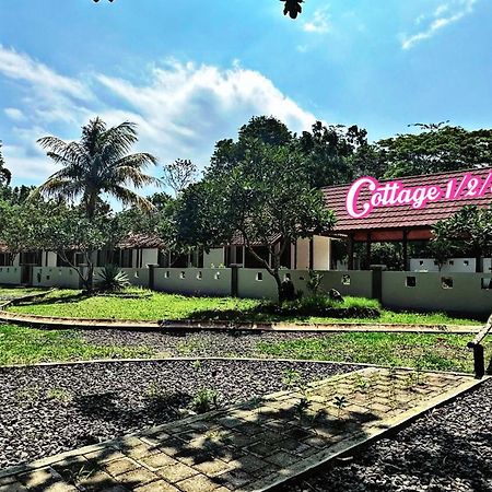 G Beach Hotel Grajagan ภายนอก รูปภาพ